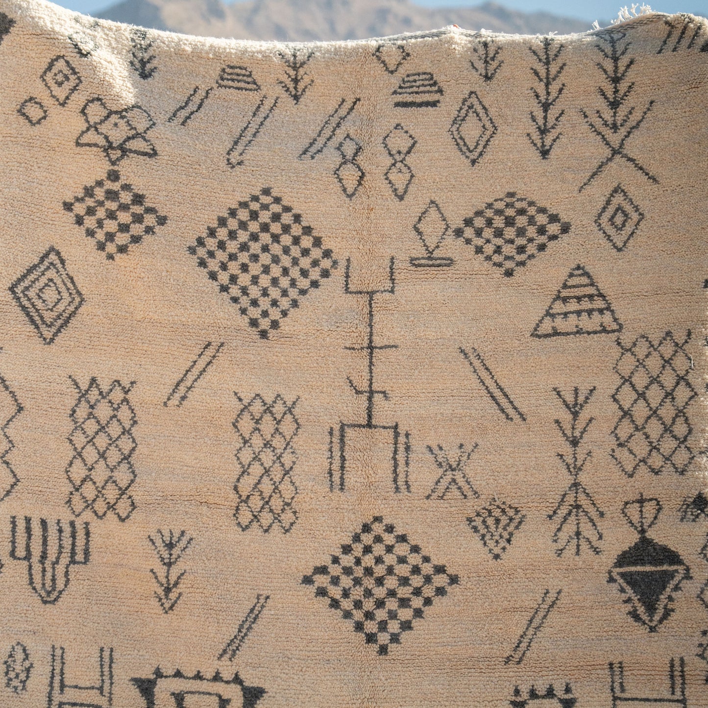 White Abstract Tribal Symbols Rug