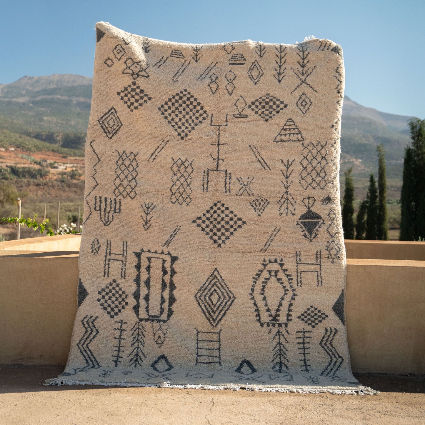 White Abstract Tribal Symbols Rug